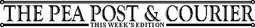 3THIS.GIF (2962 bytes)